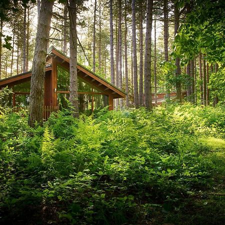 Blackwood Forest Cabins - Forest Holidays Popham Bagian luar foto