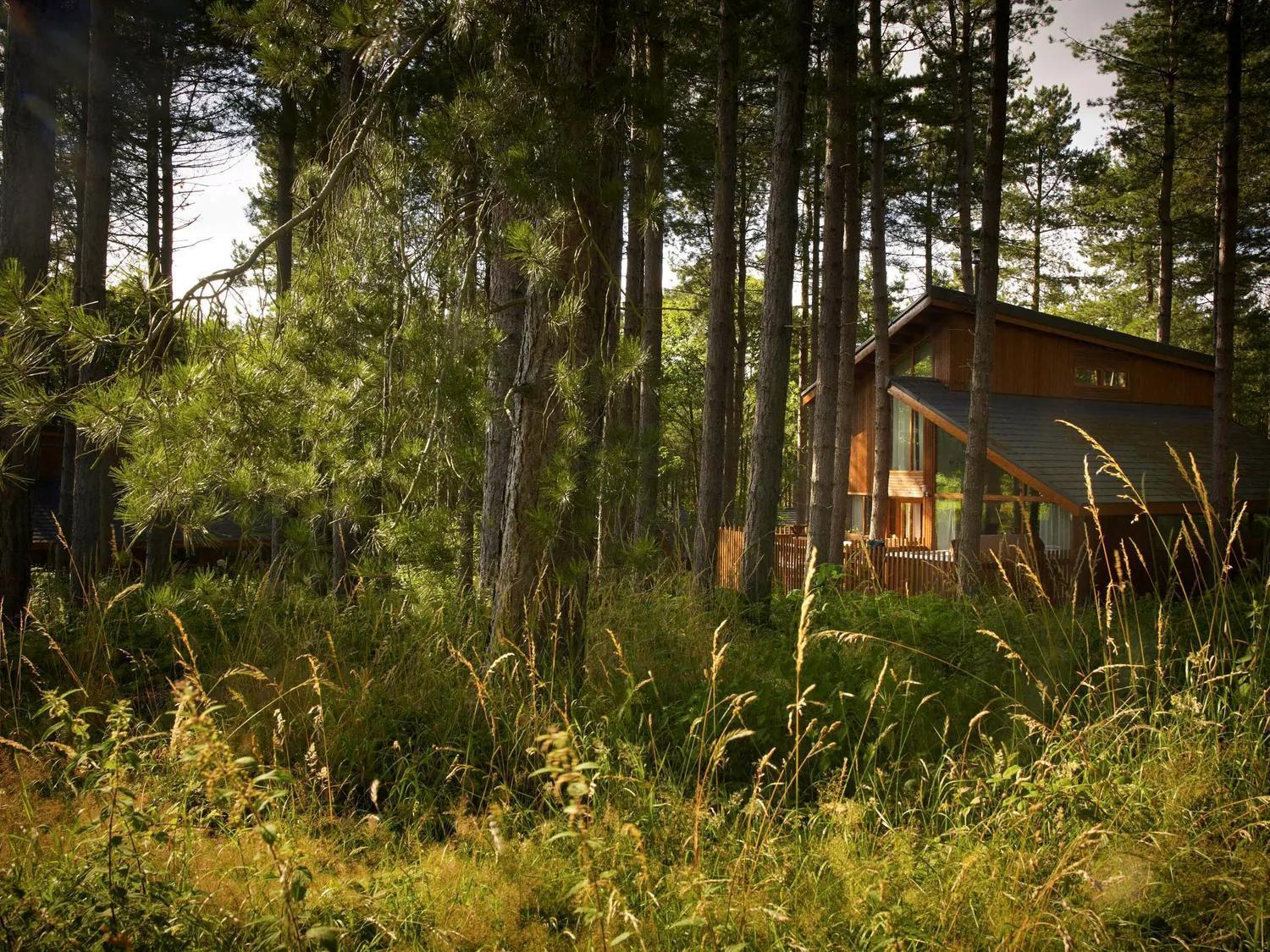 Blackwood Forest Cabins - Forest Holidays Popham Bagian luar foto