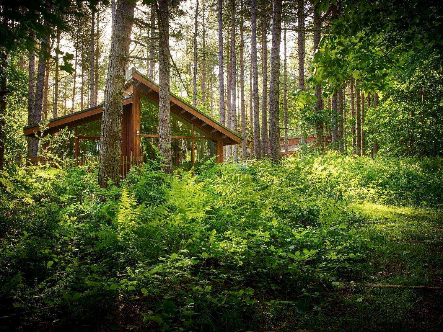 Blackwood Forest Cabins - Forest Holidays Popham Bagian luar foto