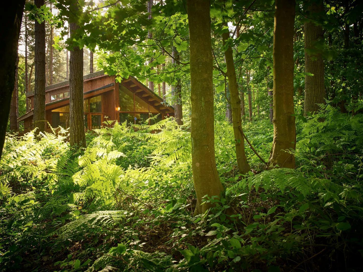 Blackwood Forest Cabins - Forest Holidays Popham Bagian luar foto
