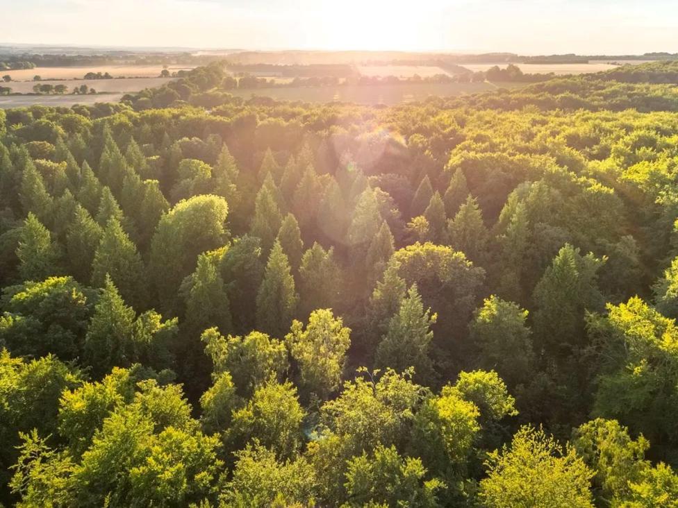 Blackwood Forest Cabins - Forest Holidays Popham Bagian luar foto
