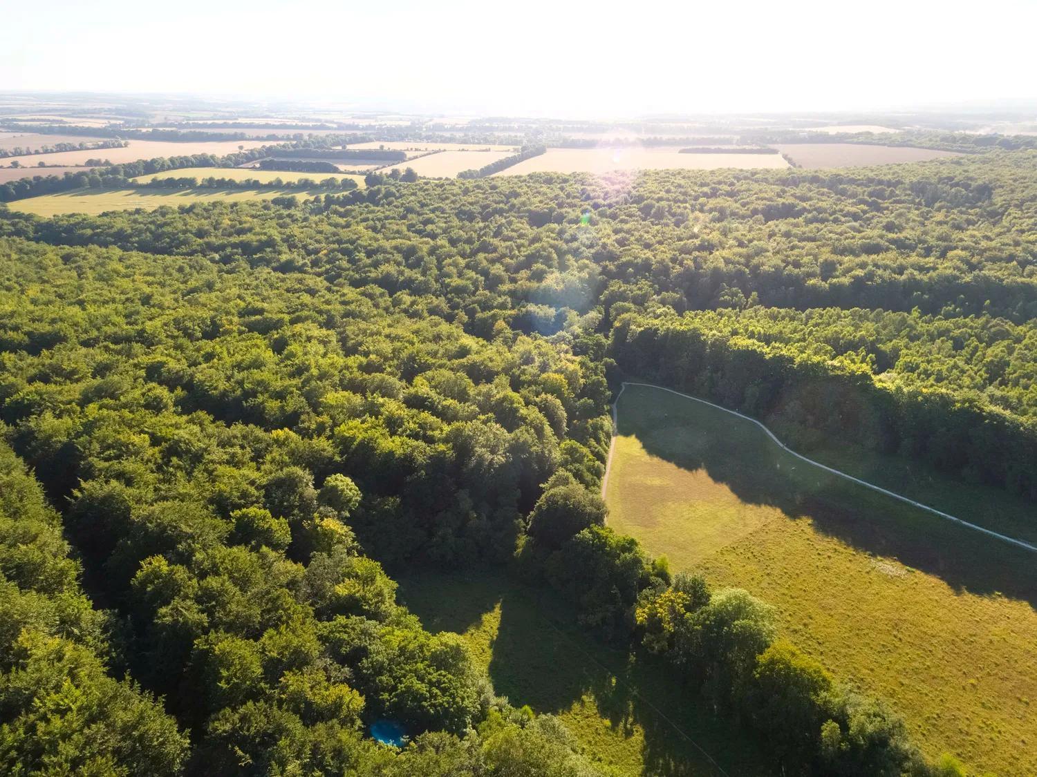 Blackwood Forest Cabins - Forest Holidays Popham Bagian luar foto
