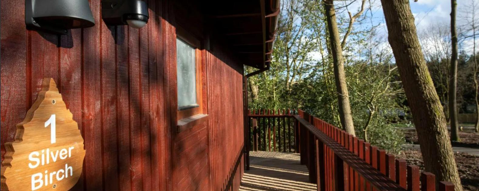 Blackwood Forest Cabins - Forest Holidays Popham Bagian luar foto